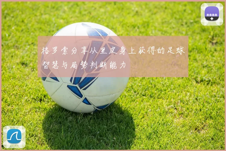 格罗索分享从里皮身上获得的足球智慧与局势判断能力